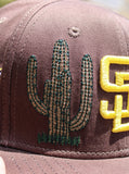 San Diego Padres Cactus Hat